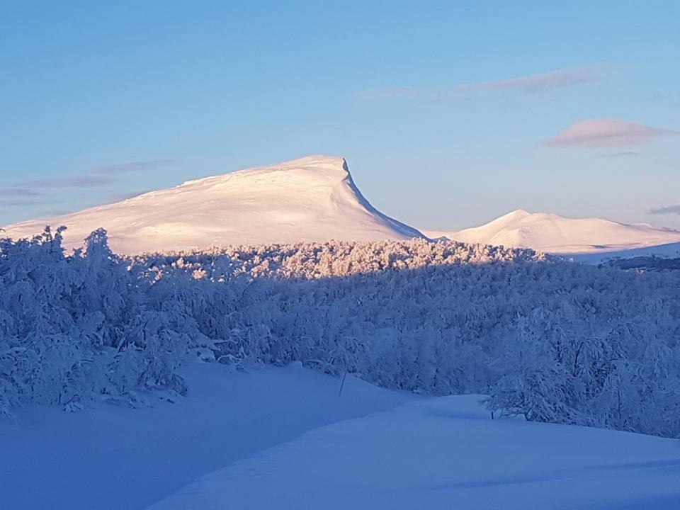 Bruksvallarna - Modern Fjaellstuga Med Panoramautsikt Och Wifi Екстериор снимка
