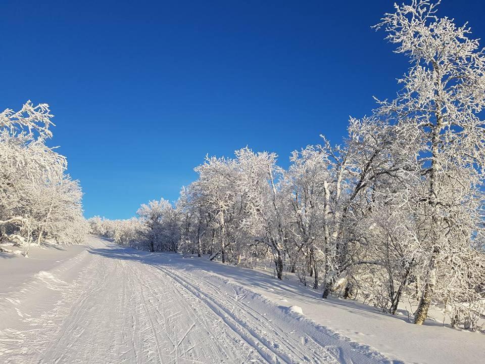 Bruksvallarna - Modern Fjaellstuga Med Panoramautsikt Och Wifi Екстериор снимка